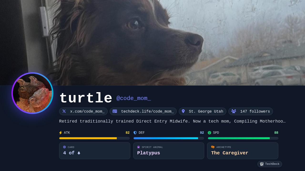 turtle's TechDeck Business Card